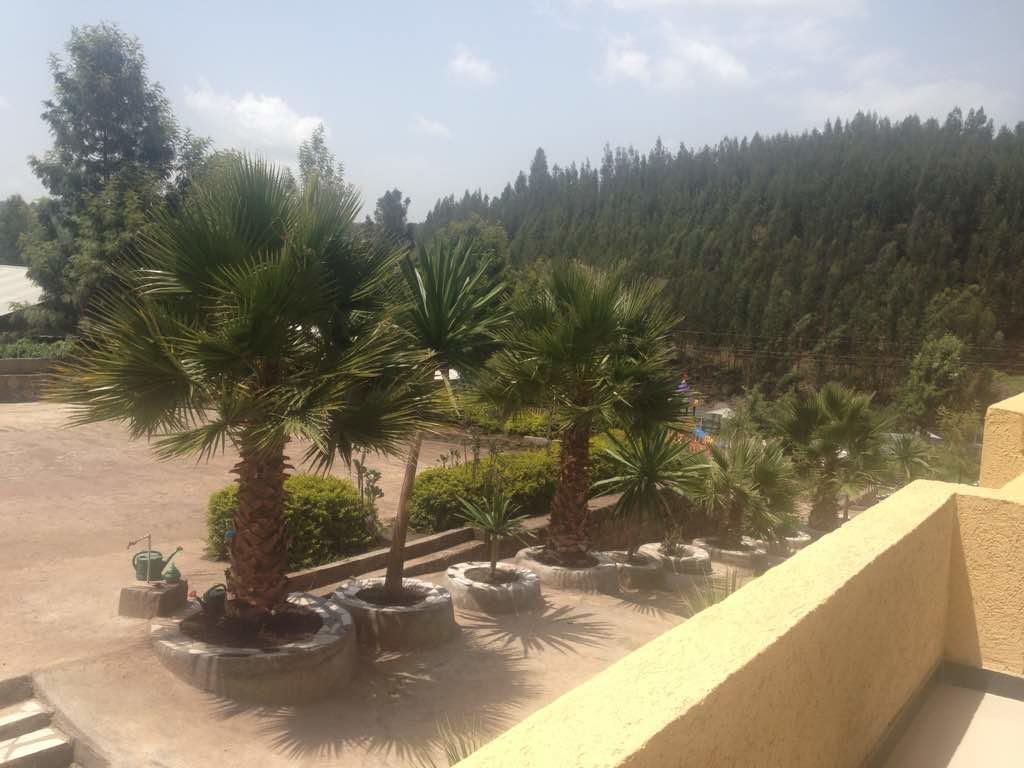 Joamla Hotel Desē Esterno foto